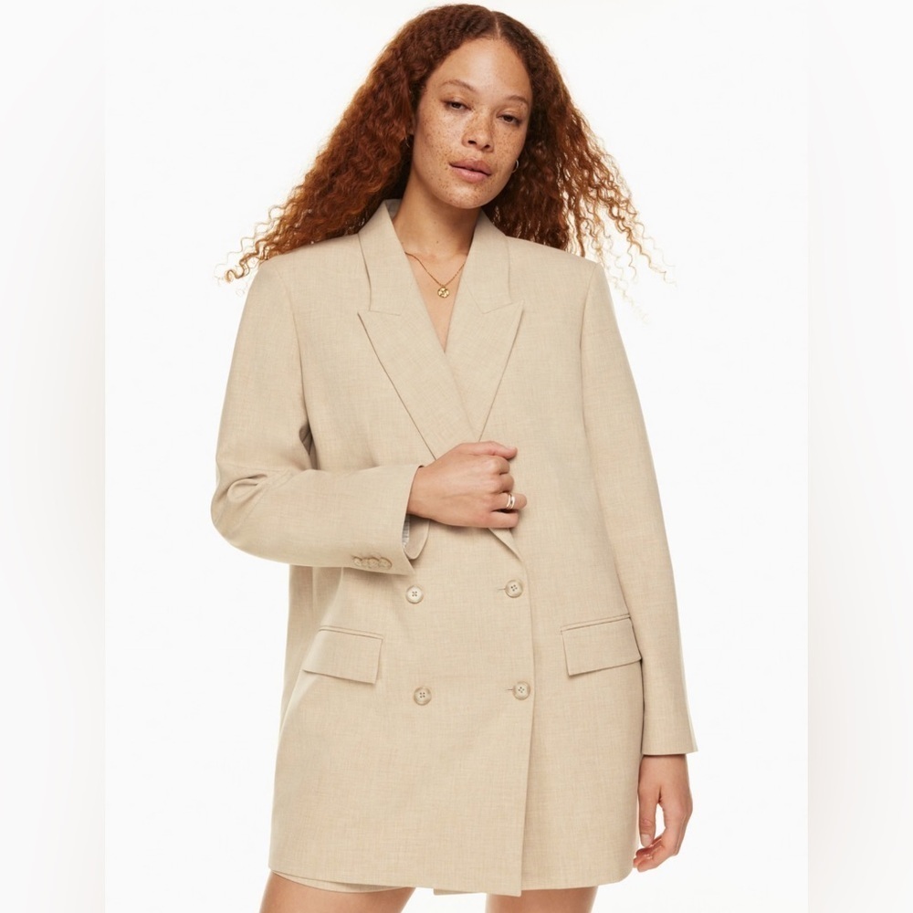 Aritzia Wilfred Cherrelle Blazer